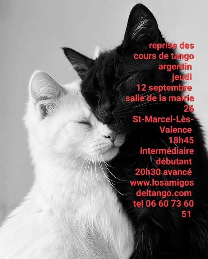 REPRISE TANGO CHAT NOIR ET BLANC.jpg